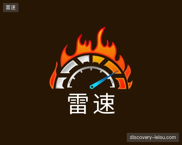 了解雷速团队